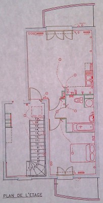 planT2.jpg